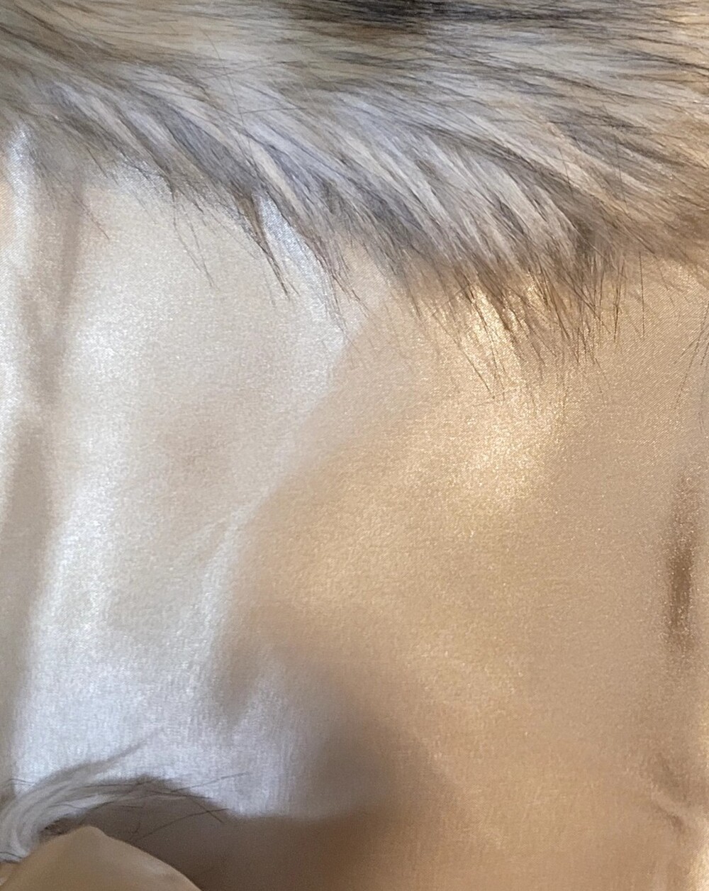 Love Tree Faux Fur Vest in Light Tan and Cream - Picture 4 of 5